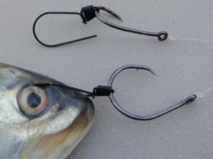 Ultimate Bait Bridle - Large Size - 50 Pack